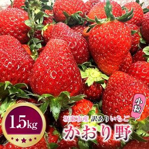 【ふるさと納税】No.271先行予約「坂東市産」訳ありいちごかおり野小粒や規格外品など詰め合わせ1.5kgジャムやイチゴミルクなどに/苺わけあり詰合せスムージー送料無料茨城県