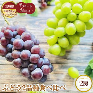 yӂ邳Ɣ[Łzys\zԂǂ2iHהׁy錧ʕԗi ݂sz ^ uhE  t[c ʕ l Zbg  錧 No.298