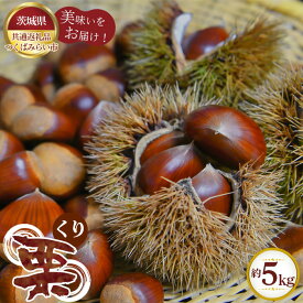 【ふるさと納税】No.305 【先行予約】栗　約5kg【茨城県共通返礼品 つくばみらい市】 ／ くり クリ フルーツ 果物 送料無料 茨城県