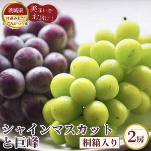 yӂ邳Ɣ[ŁzNo.318 ys\zVC}XJbgƋ@˔2[y錧ʕԗi ݂sz ^ Ԃǂ uhE  t[c ʕ l Zbg p  