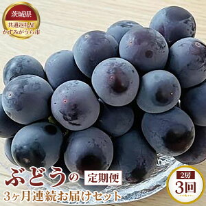 yӂ邳Ɣ[Łzys\zԂǂ3A͂Zbg@2[×3y錧ʕԗi ݂sz ^ uhE  t[c ʕ   錧 No.321