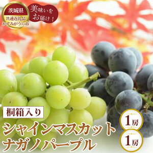 �y�ӂ邳�Ɣ[�Łz�y��s�\��z�˔�����V���C���}�X�J�b�g1�[�ƃi�K�m�p�[�v��1�[�y��錧���ʕԗ�i �����݂�����s�z �^ �Ԃǂ� �u�h�E ���� �t���[�c �ʕ� �l���� �Z�b�g �����p ������