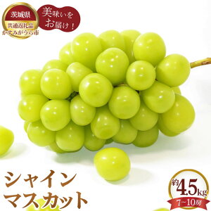yӂ邳Ɣ[ŁzNo.325 ys\zVC}XJbg@4.5kgi7`10[jy錧ʕԗi ݂sz ^ Ԃǂ uhE  t[c ʕ  錧