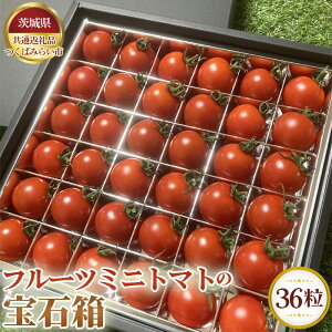 �y�ӂ邳�Ɣ[�Łz�y��s�\��z�t���[�c�~�j�g�}�g�̕�Δ��@36���y��錧���ʕԗ�i ���΂݂炢�s�z �^ �{ �V�N �Ƃ܂� ��� �������� ��錧 No.340