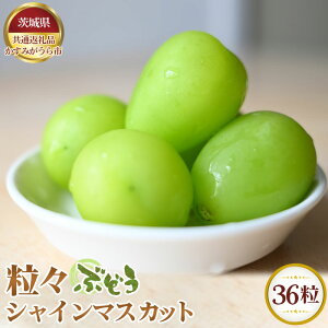 �y�ӂ邳�Ɣ[�Łz�y��s�\��z���X�Ԃǂ�36���@�V���C���}�X�J�b�g�y��錧���ʕԗ�i �����݂�����s�z �^ �u�h�E ���� �t���[�c �ʕ� �������� ��錧 No.349