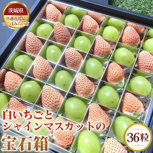 �y�ӂ邳�Ɣ[�Łz���������ƃV���C���}�X�J�b�g�̕�Δ��@36���y��錧���ʕԗ�i �����݂�����s�z �^ �{ �V�N � �C�`�S ���� �u�h�E �ʕ� �t���[�c �l���� �Z�b�g �������� ��錧 No.351