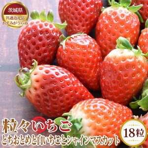 yӂ邳Ɣ[ŁzNo.358 ys\zX18@ƂƂ߂ƔƃVC}XJbgy錧ʕԗi ݂sz ^ { VN  C`S ʕ t[c l Zbg 