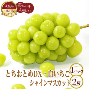 yӂ邳Ɣ[ŁzNo.361 ys\zƂƂDX1pbNƔ1pbNƃVC}XJbg2[y錧ʕԗi ݂sz ^ { VN  C`S uhE  ʕ t[c 