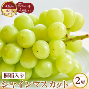 �y�ӂ邳�Ɣ[�Łz�y��s�\��z�˔�����V���C���}�X�J�b�g�@2�[�y��錧���ʕԗ�i �����݂�����s�z �^ �Ԃǂ� �u�h�E ���� �t���[�c �ʕ� �����p �������� ��錧 No.375