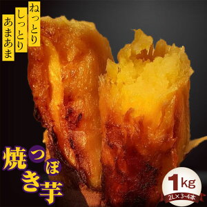 yӂ邳Ɣ[ŁzNo.394 ڏĂ1kg ^ g͂邩 ˂Ƃ Ƃ ܂  錧