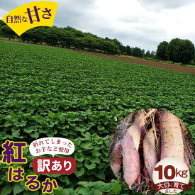 【ふるさと納税】 【訳あり】紅はるか10kg ／ 自然 芋 いも 甘い 天然資材 さつまいも 送料無料 茨城県 No.395