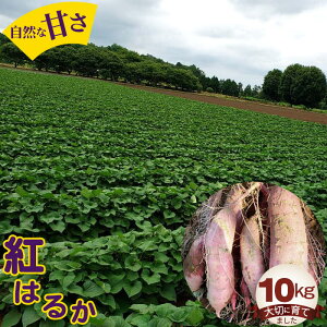 【ふるさと納税】No.406 紅はるか10kg / 自然 芋 いも 甘い 天然資材 さつまいも 送料無料 茨城県