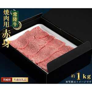 yӂ邳Ɣ[ŁzNo.454 y헤zēpiԐgj500g錧ʕԗi ^   Ԑg wV[   錧