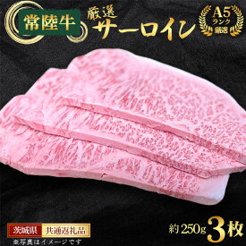 【ふるさと納税】【常陸牛】A5ランク厳選サーロイン（ステーキ用）約250g×3枚＜茨城県共通返礼品＞ ／ A5等級 霜降り 牛肉 ブランド牛 旨み 柔らかい 肉汁 口どけ 国産 黒毛和牛 高級 贅沢 キャンプ ご褒美 贈答 ギフト 御祝 ガーデンバーベキュー 茨城県 No.460