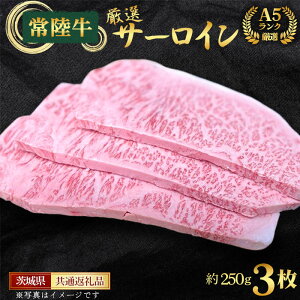 yӂ邳Ɣ[ŁzNo.460 y헤zA5NIT[CiXe[Lpj250g×3錧ʕԗi ^   Ԑg Lv o[xL[ BBQ j j  錧