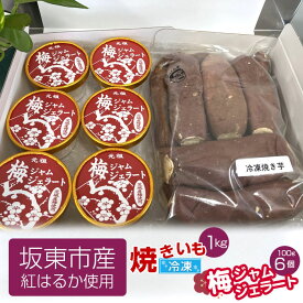 【ふるさと納税】坂東市産　冷凍焼きいも（紅はるか）1kgと梅ジャムジェラート100g×6個 ／ 焼きいも 焼き芋 べにはるか 蜜 しっとり ねっとり 梅 梅ジャム ジェラート スッキリ 駄菓子 セット 送料無料 茨城県 No.533