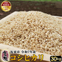 楽天市場】茨城県産コシヒカリ玄米30kgの通販