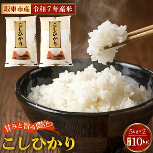 yӂ邳Ɣ[Łz ߘa7NY@Ђ10kgyⓌsYz ^ ߘa7N V    R    Y 10kg 10L RVqJ Ђ Â S  c  