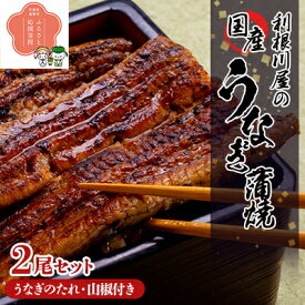 【ふるさと納税】利根川屋の国産うなぎ蒲焼　2尾セット【配送不可地域：離島・沖縄県】【1018895】
