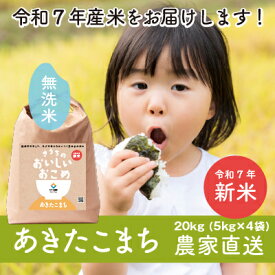 【ふるさと納税】【令和7年産・自家栽培・自家精米・農家直送】稲敷市産あきたこまち20kg(5kg×4袋)無洗米【配送不可地域：離島・沖縄県】【1430547】