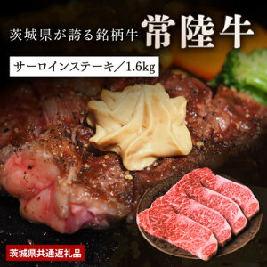 yӂ邳Ɣ[Łzy{Rzјau헤vT[CXe[L1.6kg(200×8)錧ʕԗiyzsnFEꌧzy1468329z