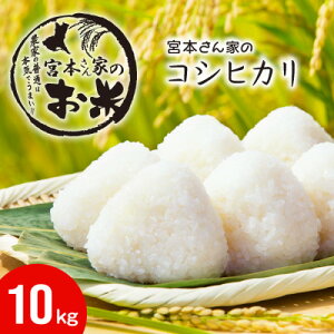 yӂ邳Ɣ[Łzqߘa7NYr錧~sYRVqJ 10kg(5kg×2)yzsnFEꌧzy1659579z