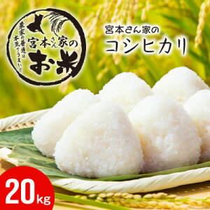 yӂ邳Ɣ[Łzqߘa7NYr錧~sYRVqJ 20kg(10kg×2)yzsnFEꌧzy1659584z