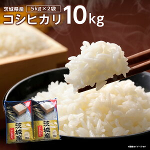 記事番号:36484/アイテムID:404480の画像