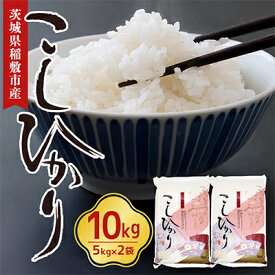 【ふるさと納税】【令和7年産】稲敷産こしひかり10kg(5kg×2袋)【配送不可地域：離島・沖縄県】【1092022】