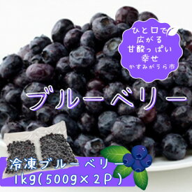 【ふるさと納税】冷凍ブルーベリー1kg(500g×2パック)【配送不可地域：離島】【1108080】
