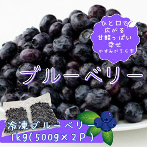 yӂ邳Ɣ[ŁzⓀu[x[1kg(500g×2pbN)yzsnFzy1108080z