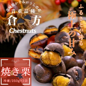 【ふるさと納税】甘さ抜群!貴重品種『倉方』の焼き栗　250g×3セット(冷凍)_ 栗 くり 焼き栗 マロン 冷凍 国産 茨城 果物 くだもの 人気 おすすめ 送料無料 贈答 ギフト 倉方 【配送不可地域：離島】【1139620】