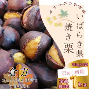 yӂ邳Ɣ[Łzy󂠂葝ʁzMdiwqx̏ĂI@@@@250g×4Zbg(Ⓚ)yzsnFzy1320086z