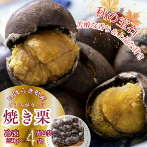 yӂ邳Ɣ[Łz݂sY@ĂI@250g×4܁@(Ⓚ)_ ĂI I ČI ₫ Y  N aI }  XC[c aَq Ⓚ 錧 Mtg v[g  yz