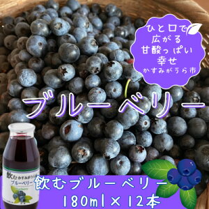 yӂ邳Ɣ[Łz݂Y@ރu[x[@180ml×12{y1377970z