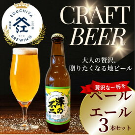 【ふるさと納税】クラフトビール　『澤乃不二』(ペールエール) 3本セット【配送不可地域：離島】【1398383】