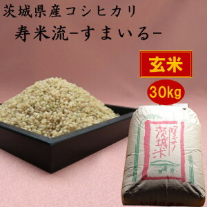 yӂ邳Ɣ[Łz錧YRVqJė(܂)30kg()y1398878z