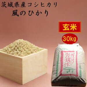 yӂ邳Ɣ[Łz錧YRVqĴЂ30kg()y1398974z
