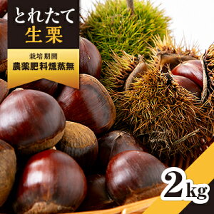 yӂ邳Ɣ[Łz2025NHzƂꂽĐI2kg͔|Ԕ_엿VRt@[@Lt`gp_ I  I } ① Y  ʕ  lC   