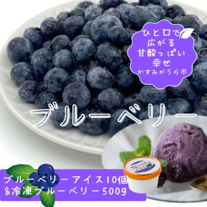 yӂ邳Ɣ[Łzwu[x[₷x̔Zu[x[ACX10@&@Ⓚu[x[500g̃ZbgyzsnFzy1452613z