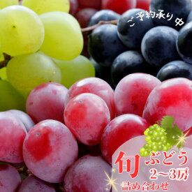【ふるさと納税】かすみがうら市産シャインマスカット&旬のぶどう詰め合わせ　合計2～3房【配送不可地域：離島・沖縄県】【1477653】