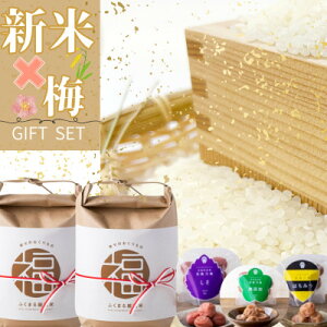 yӂ邳Ɣ[Łz錧Yw헤T~x~3 & ӂ܂錵I  2kg×2܁y1481019z