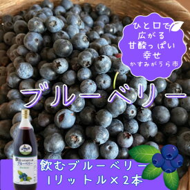 【ふるさと納税】かすみがうら市産　飲むブルーベリー　1L×2本【1481666】