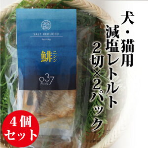 yӂ邳Ɣ[ŁzyLpzFresh fish 037 gg (ɂ) 4Zbgy1525610z