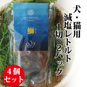 yӂ邳Ɣ[ŁzyLpzFresh fish 037 gg (Ԃ) 4Zbgy1525613z