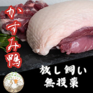 yӂ邳Ɣ[Łz݊ނ˓@1H(800g`900gx)_     J  J ɂ jN     Y ^pbN [Xg [X   Ԃ 