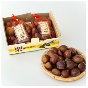 yӂ邳Ɣ[Łz݂sY nI3L@2kgy1564550z