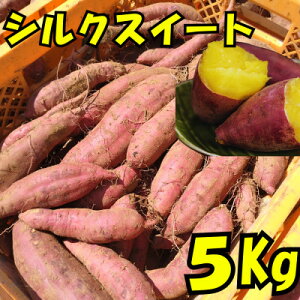 yӂ邳Ɣ[Łz܂(VNXC[g5kg)y1597491z