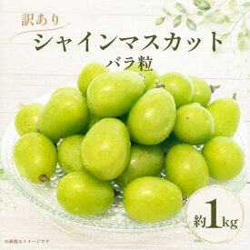 【ふるさと納税】産地直送 訳ありシャインマスカット バラ粒 1kg 【2026年発送】【配送不可地域：離島・沖縄県】【1757996】