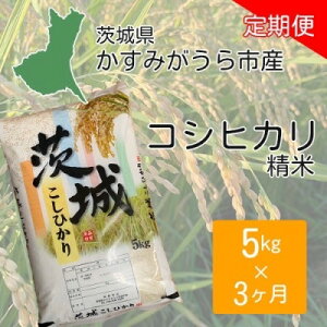 yӂ邳Ɣ[Łzyցz錧݂sY RVqJ  5kgS3y4075265z